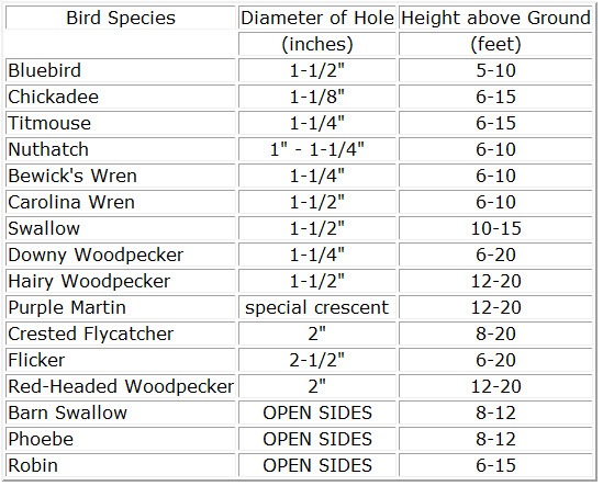 bluebird feeder hole size